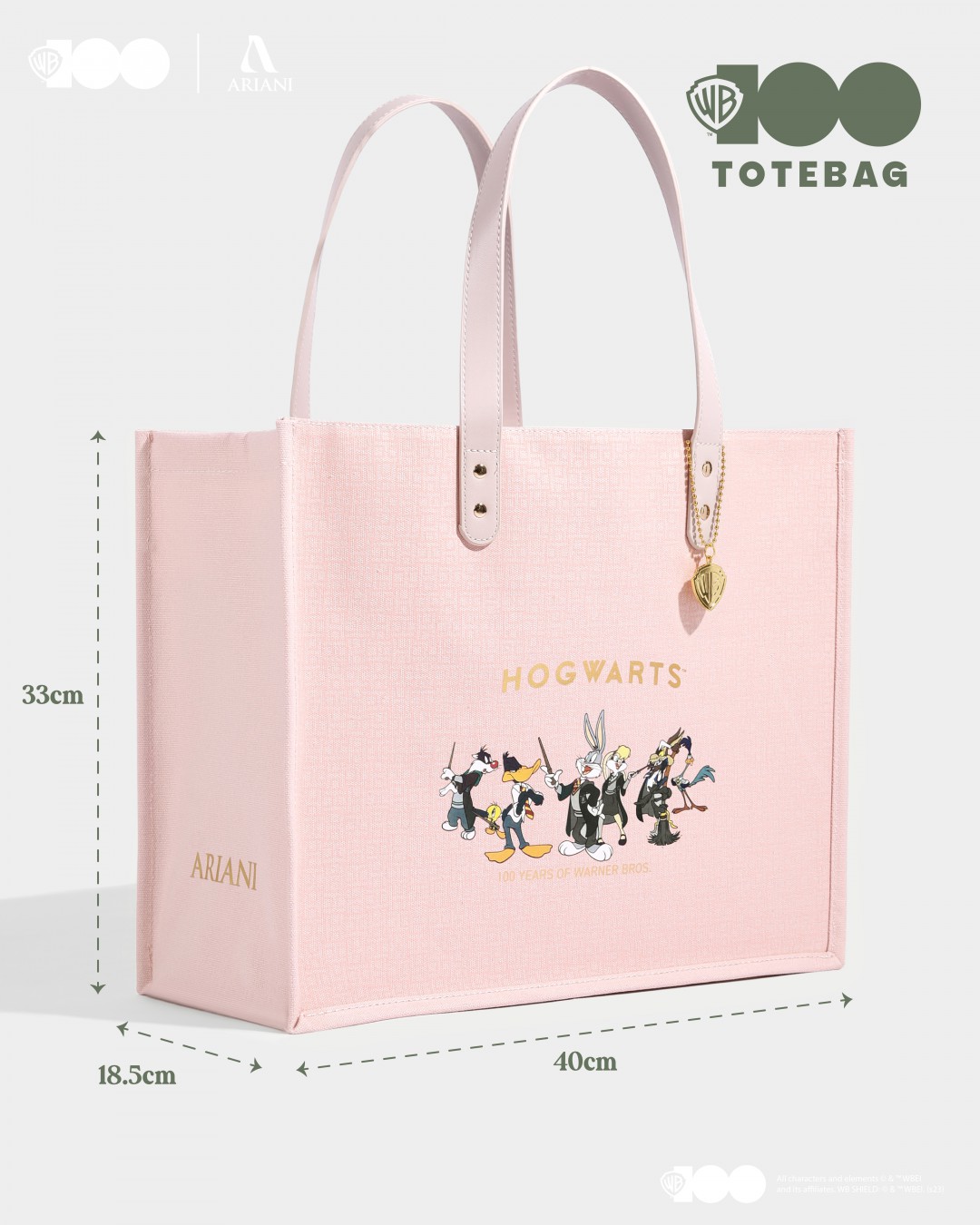 WB100 TOTE BAG